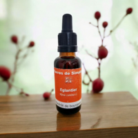 GEM41-01 - Gemmothérapie Eglantier 30 ml
