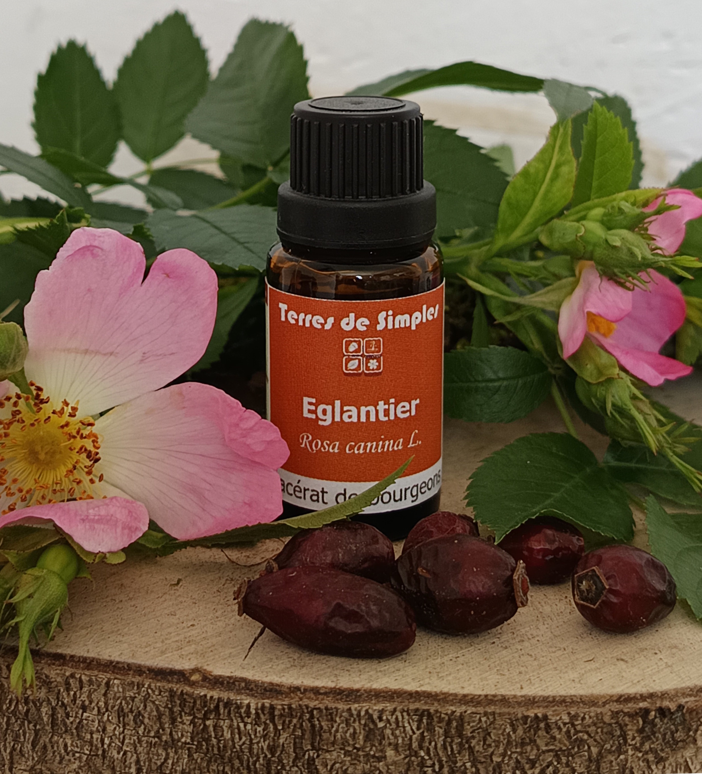GEM7 - Gemmothérapie Eglantier 15 ml
