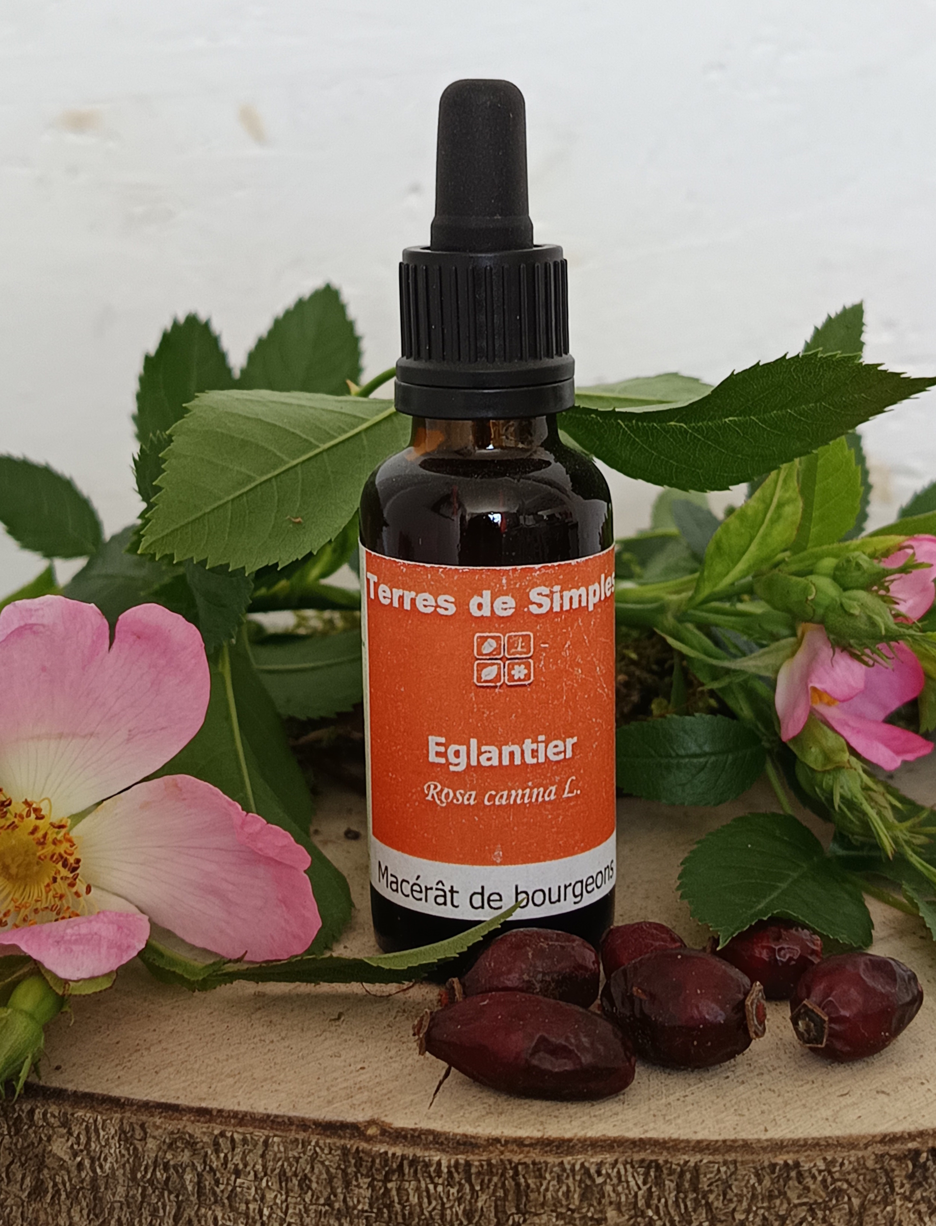 GEM41 - Gemmothérapie Eglantier 30 ml