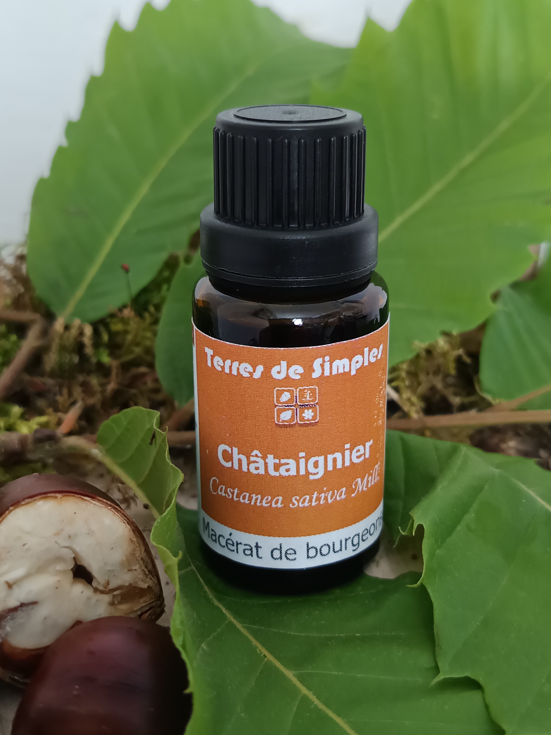 GEM5 - Gemmothérapie Chataignier 15 ml