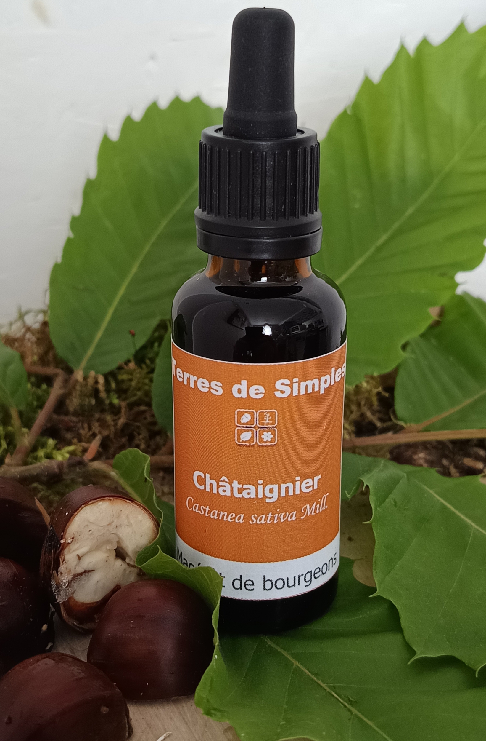 GEM38 - Gemmothérapie Chataignier 30 ml