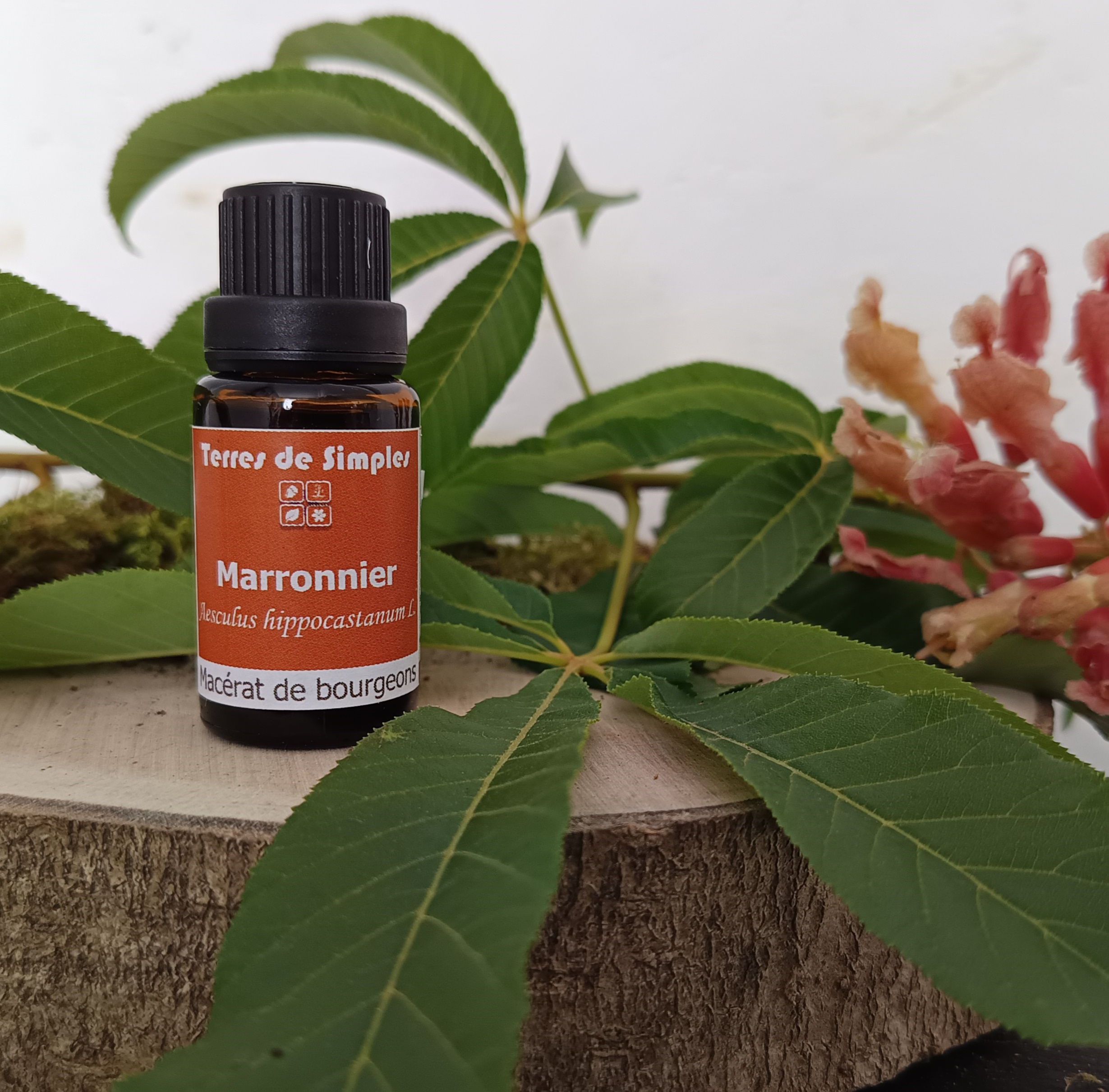 GEM14 - Gemmothérapie Marronnier 15 ml