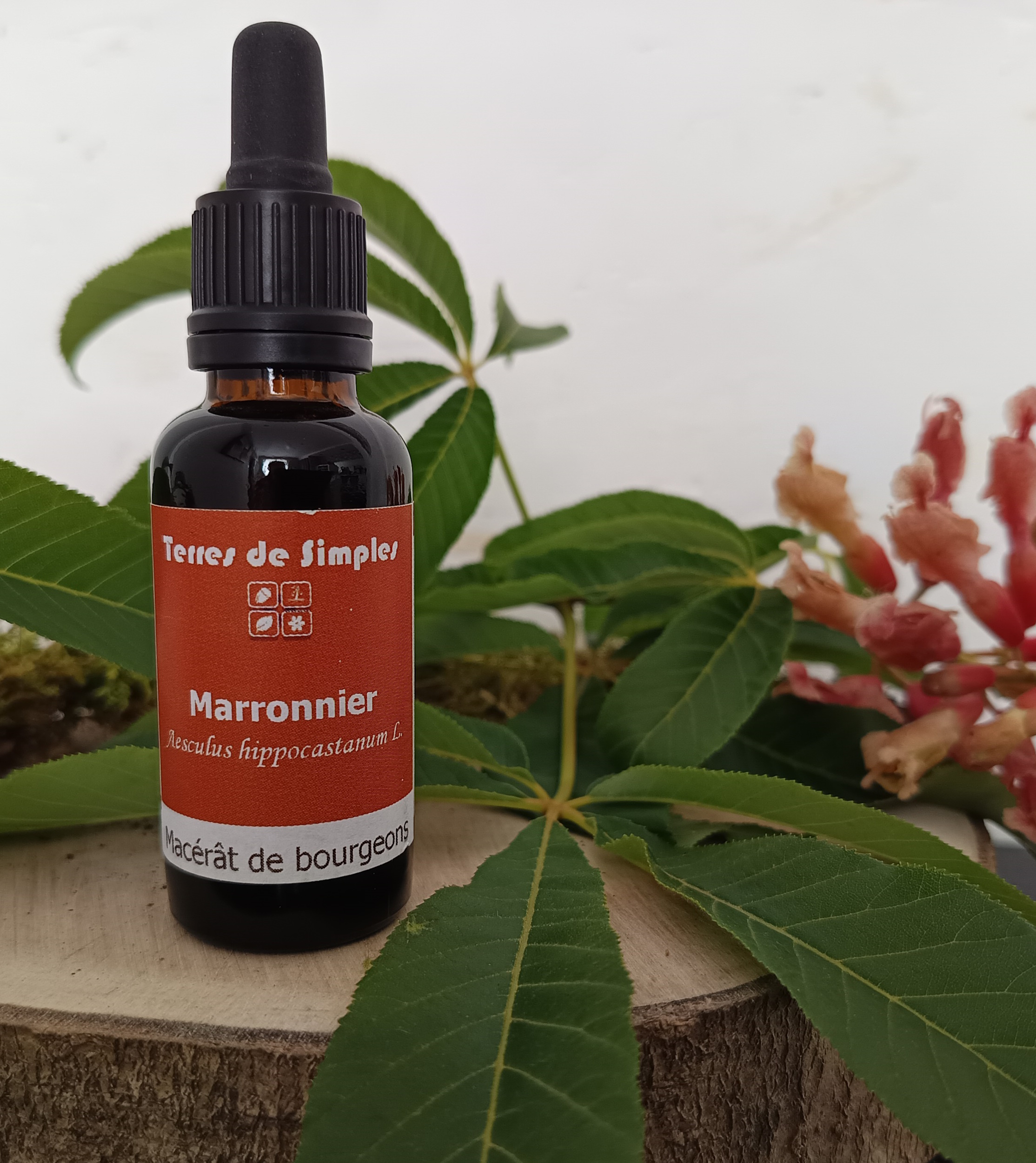 GEM51 - Gemmothérapie Marronnier 30 ml