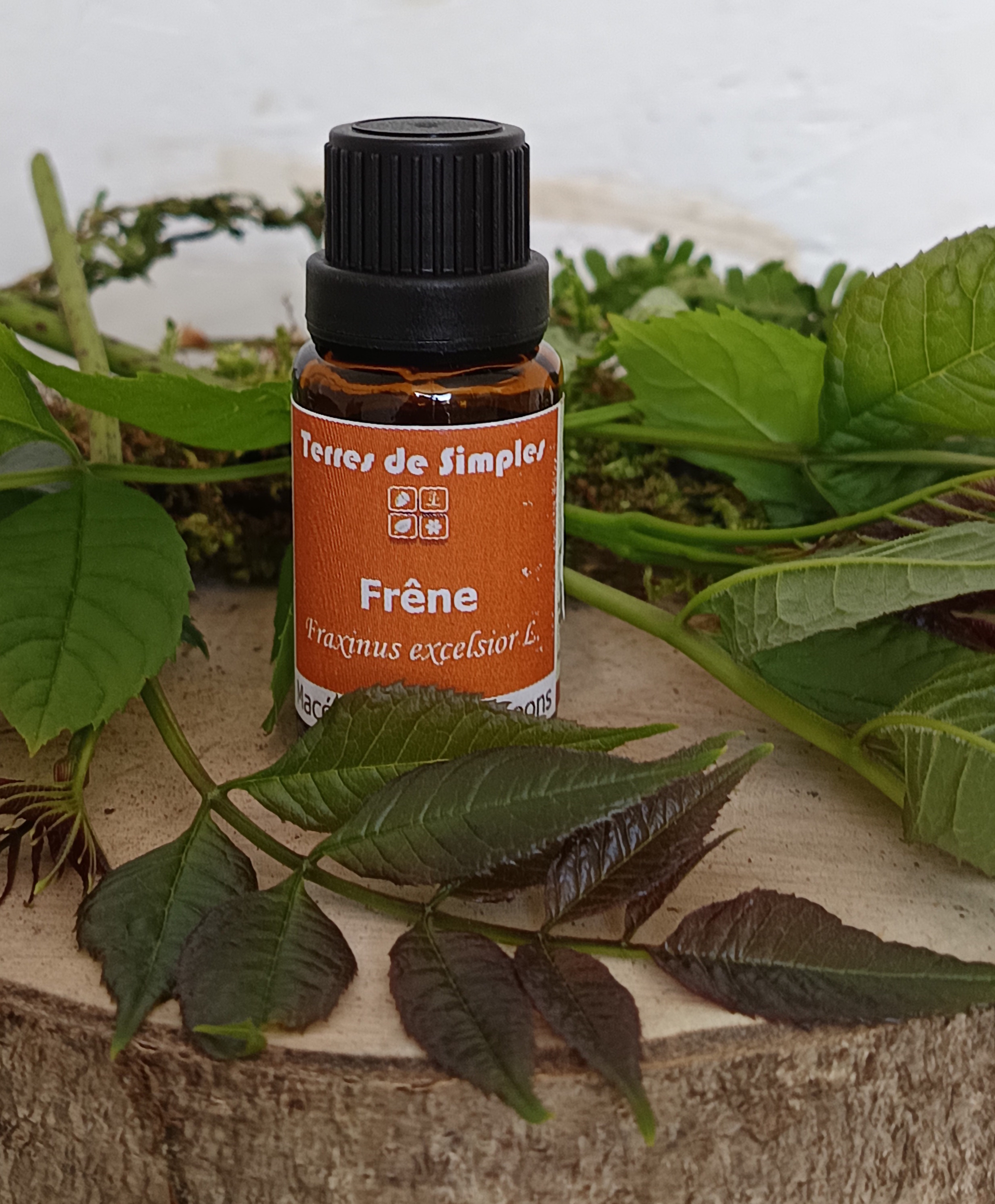 GEM11 - Gemmothérapie Frêne 15 ml