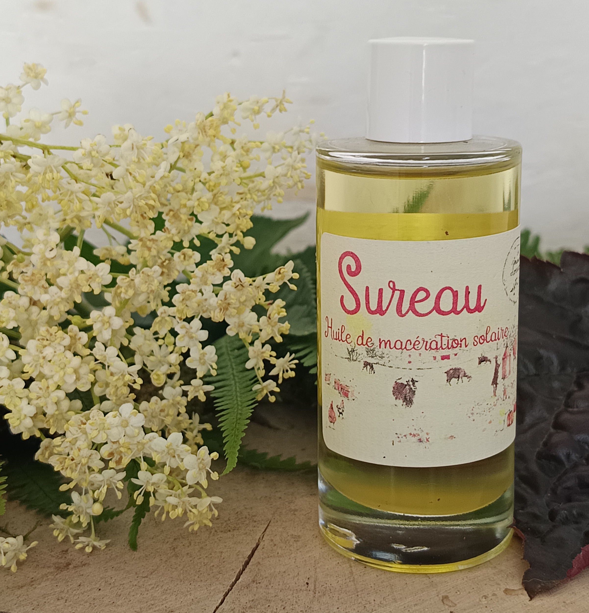 HM17-01 - Macérat Sureau