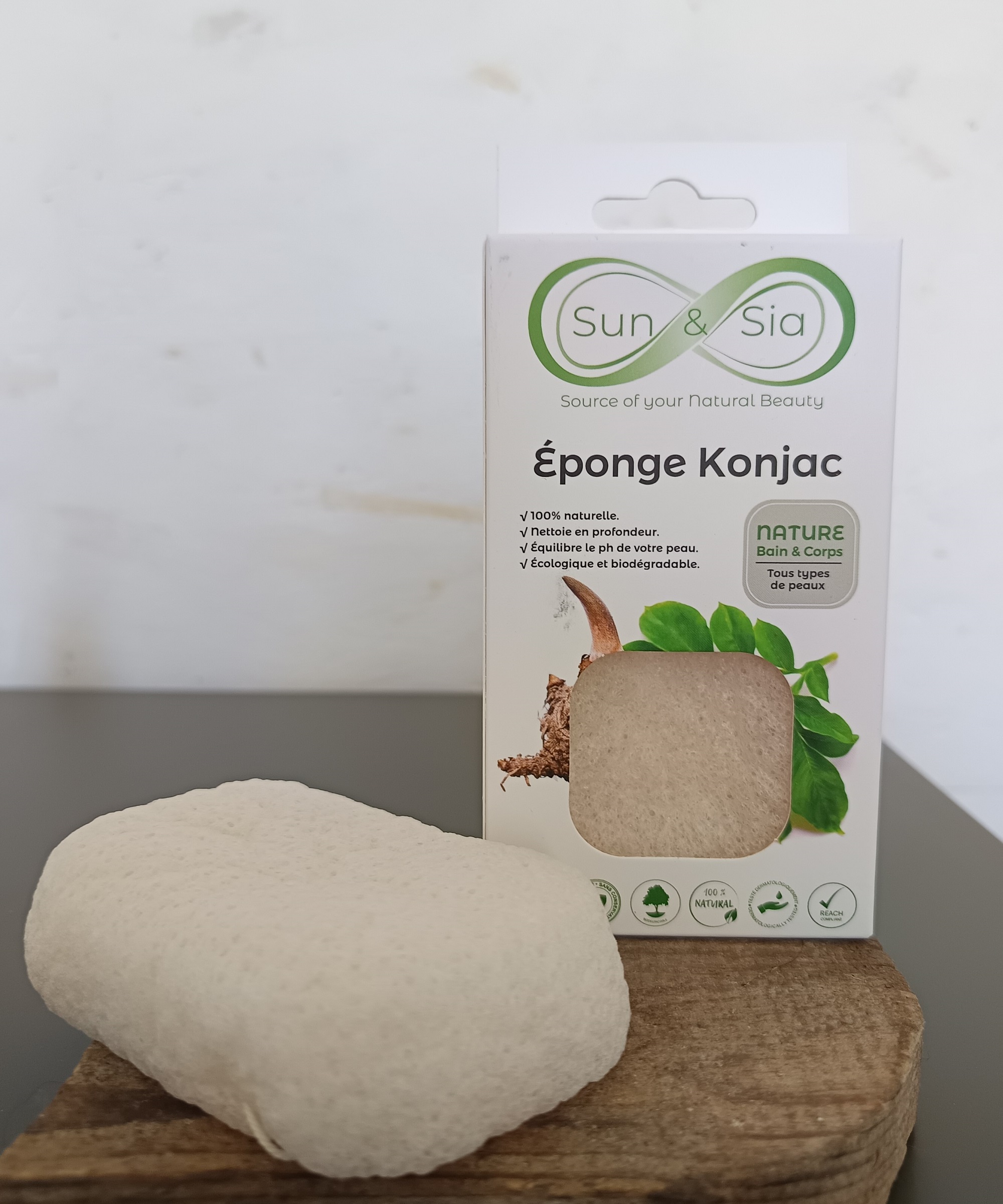 KJC02 - Konjac XL Corps Nature
