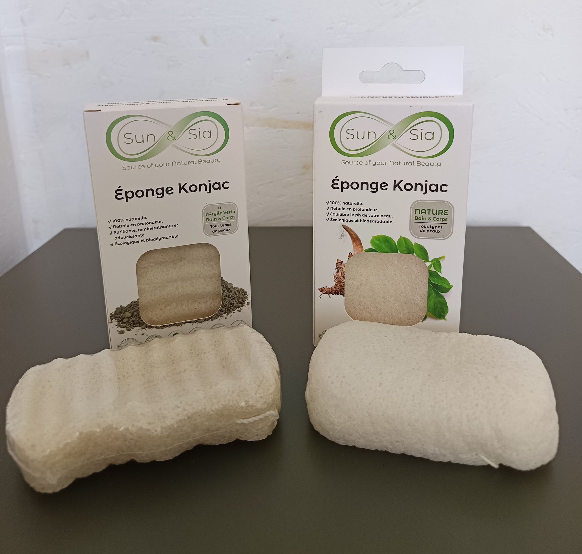 Eponges Konjac XL Corps