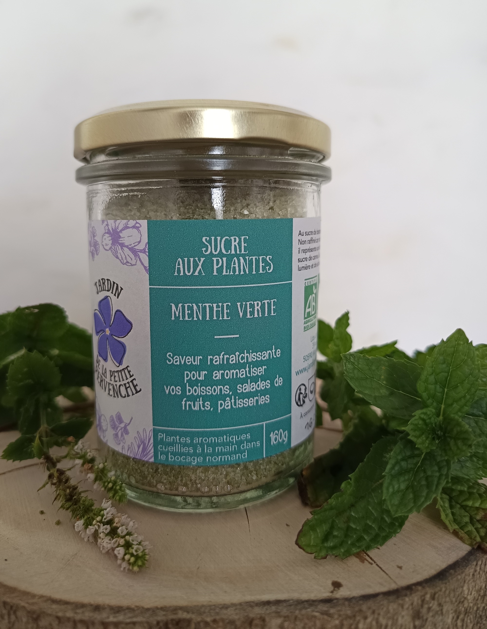 SUC008-04- Sucre Menthe Verte