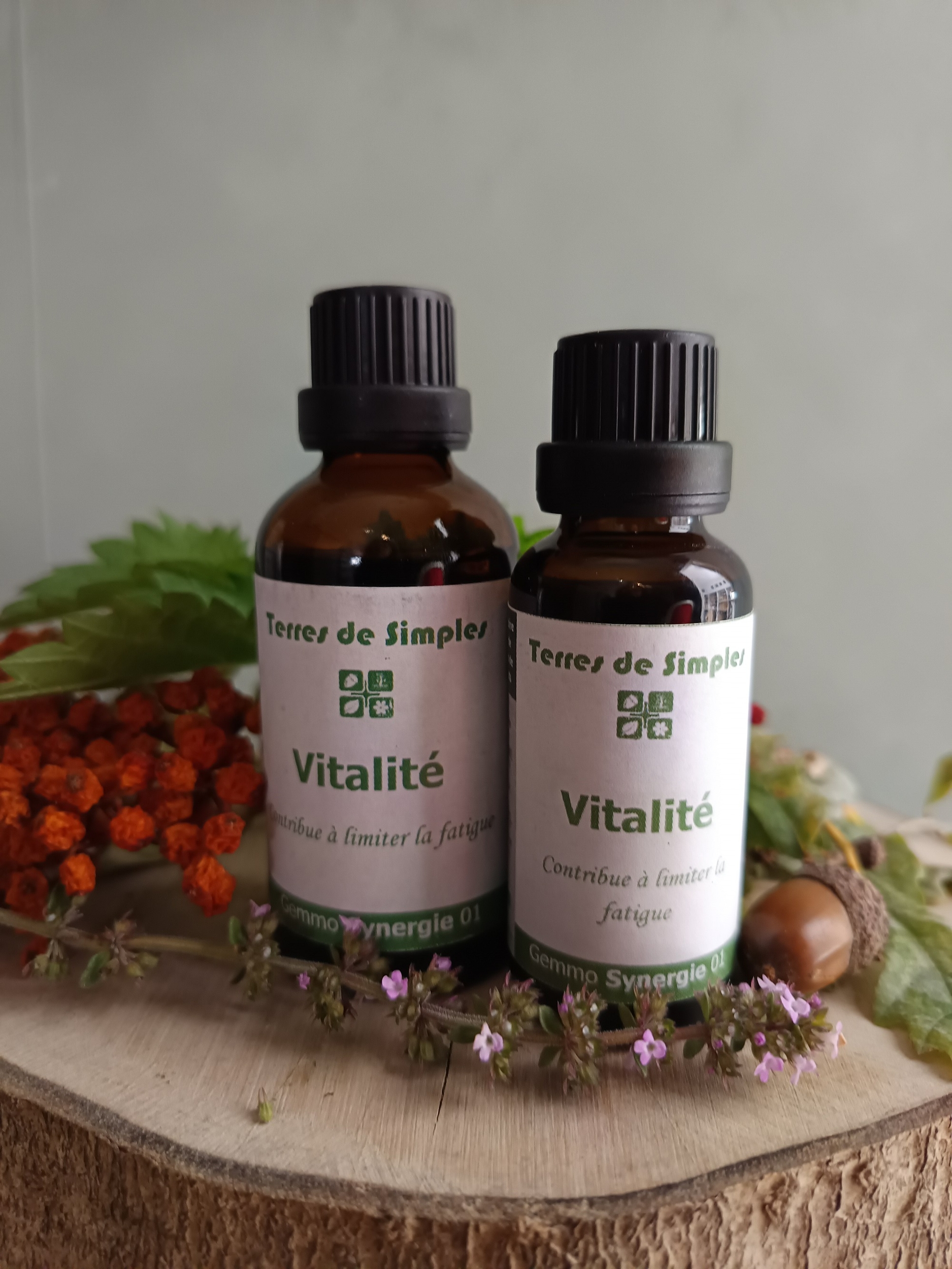 Complexes Vitalité 1