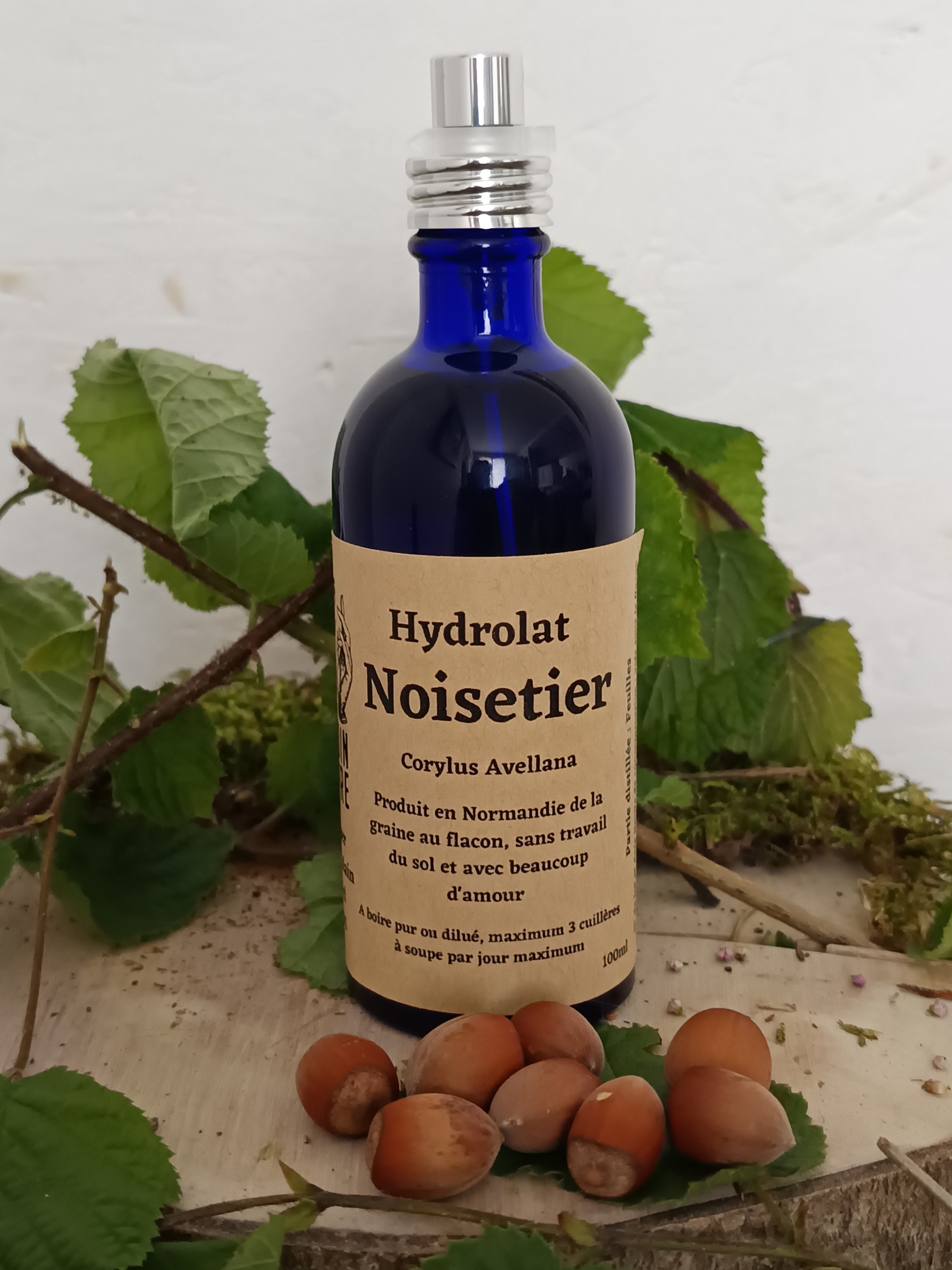 HA48-02 - Hydrolat Noisetier 100 ml