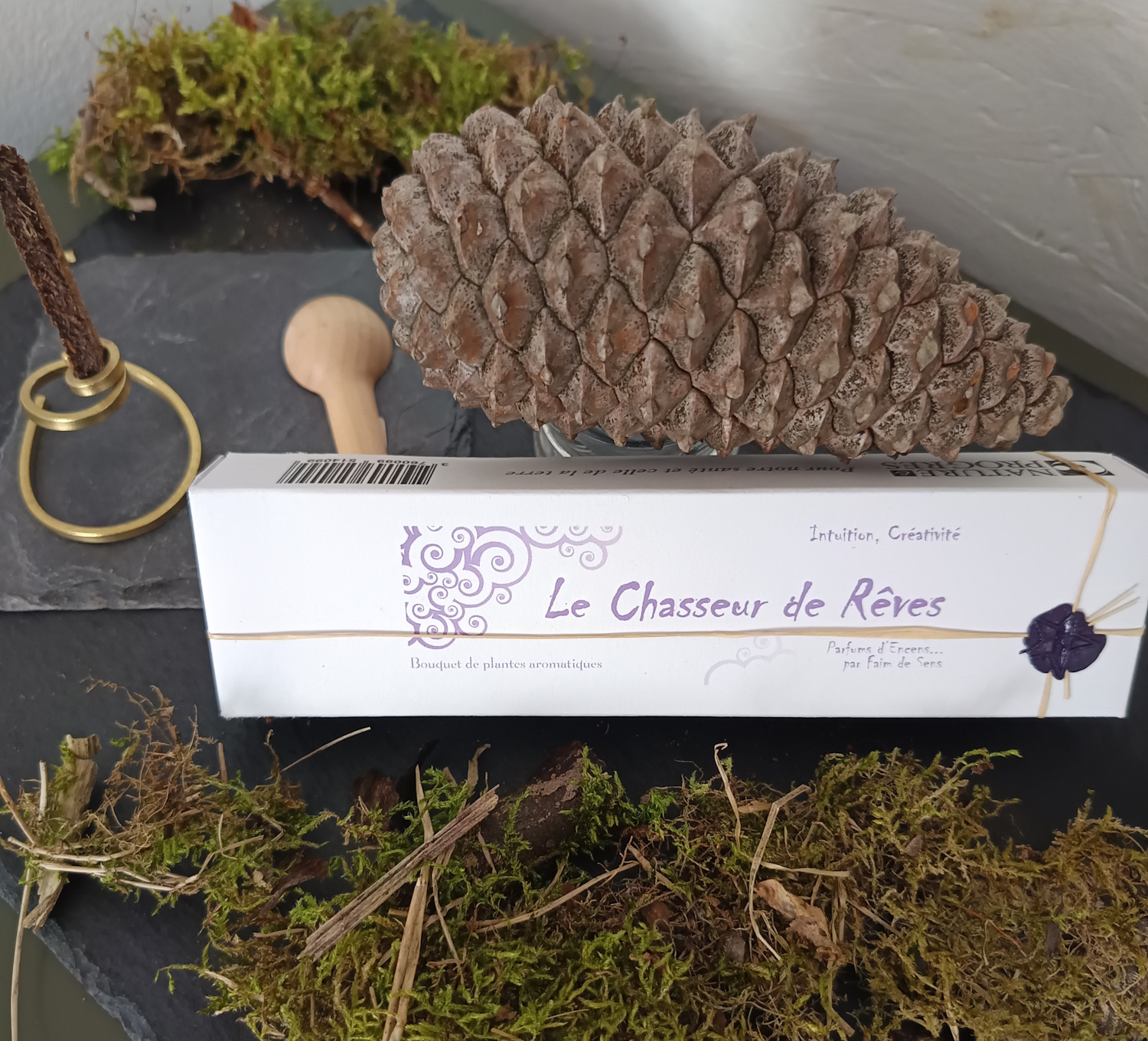 BIO009 - Le Chasseur de rêve
