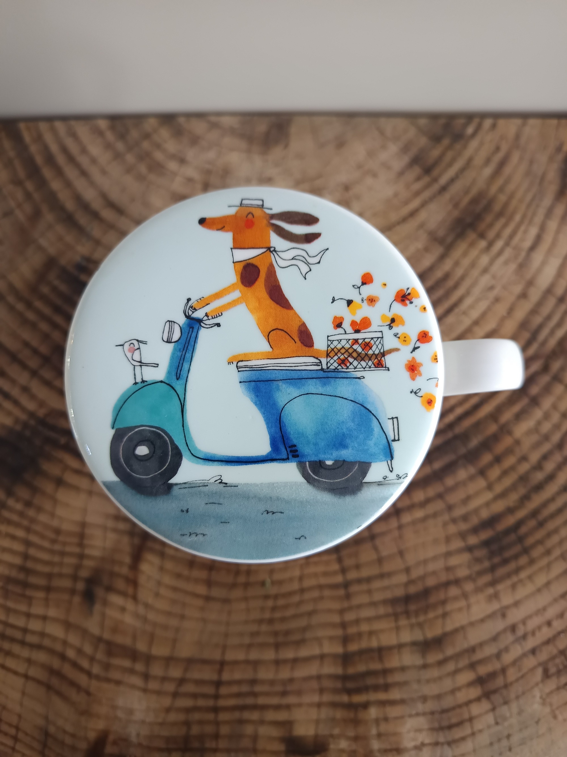 T1_39188-02 - Tisanière Chien Scooter