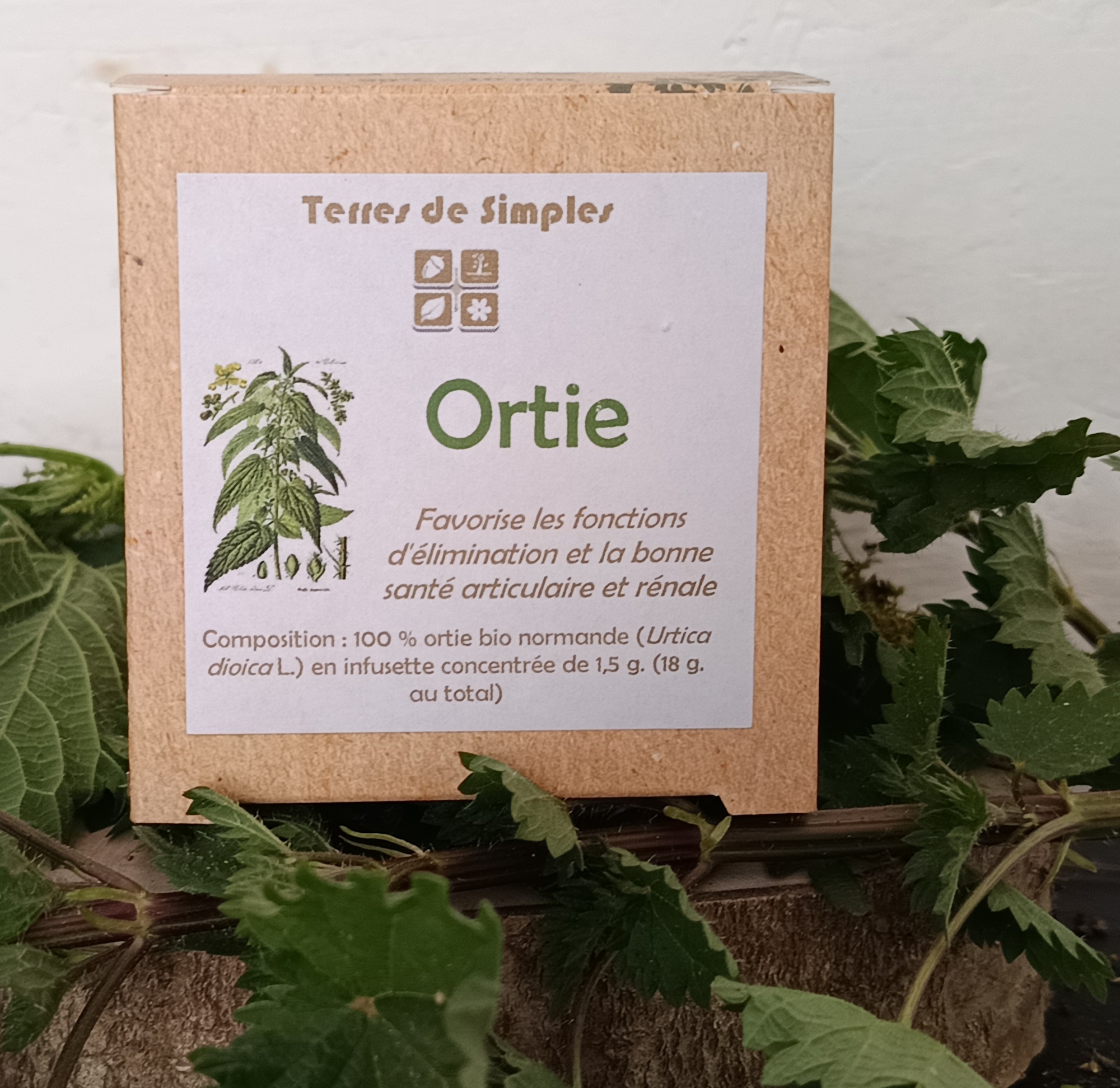 INF14-01 - Tisane Ortie en infusette