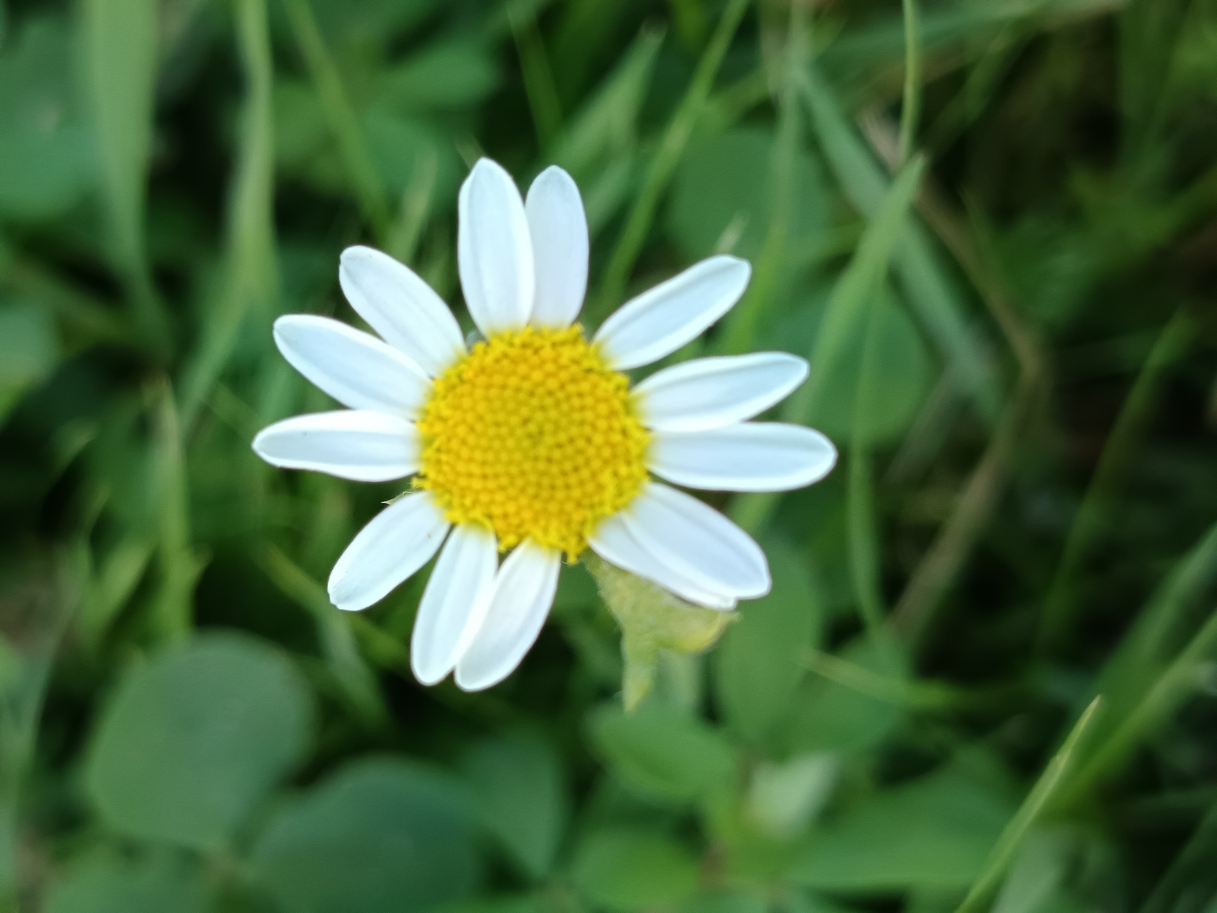 IMG_20250825_190126