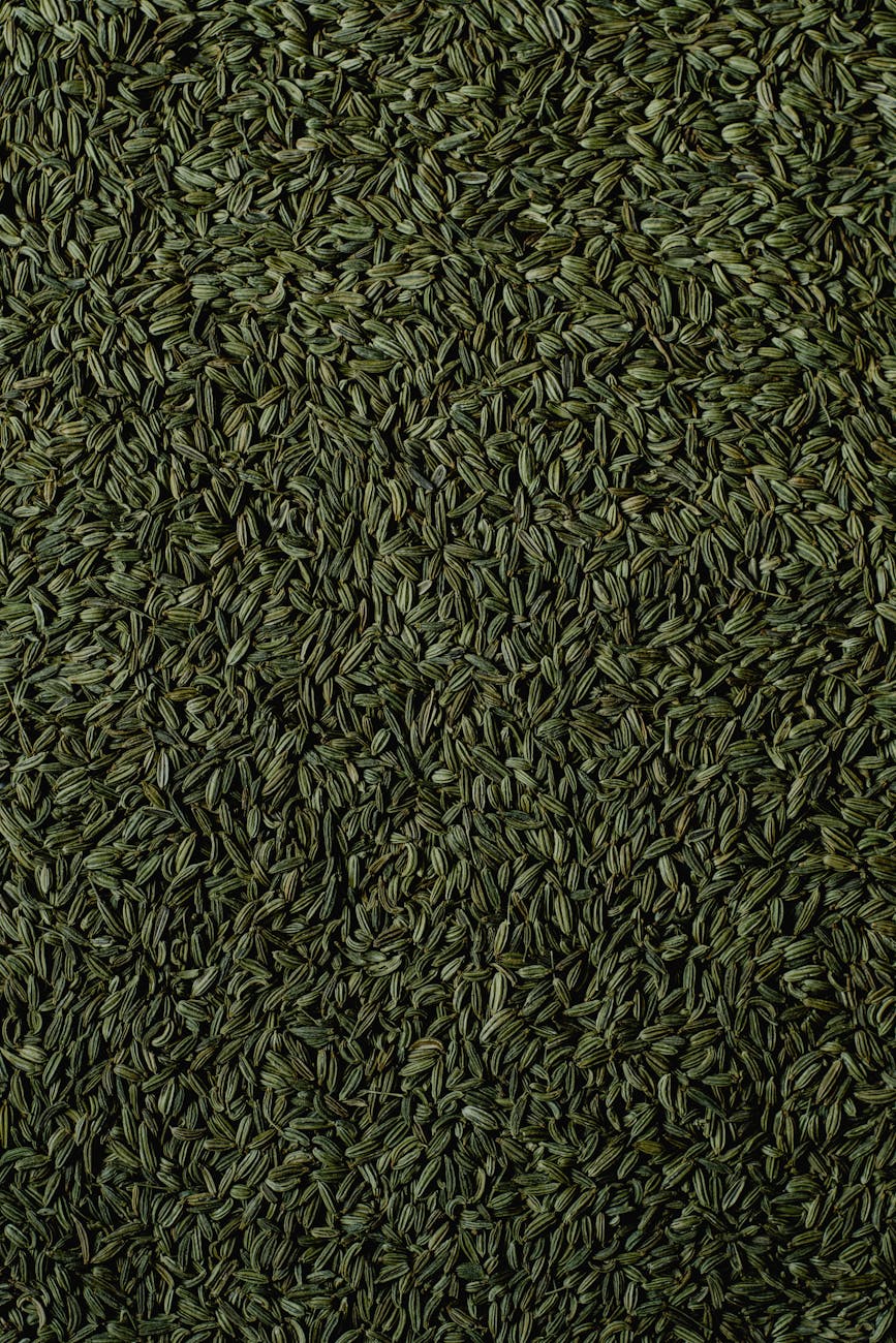 Un Gros Plan Dun Tas De Graines De Fenouil