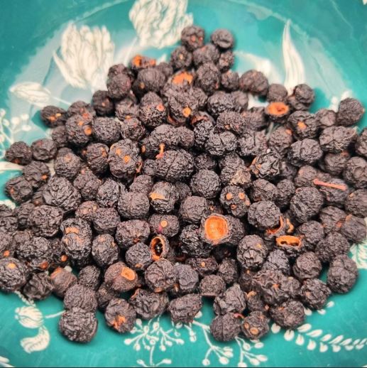 Cacao poivré 1