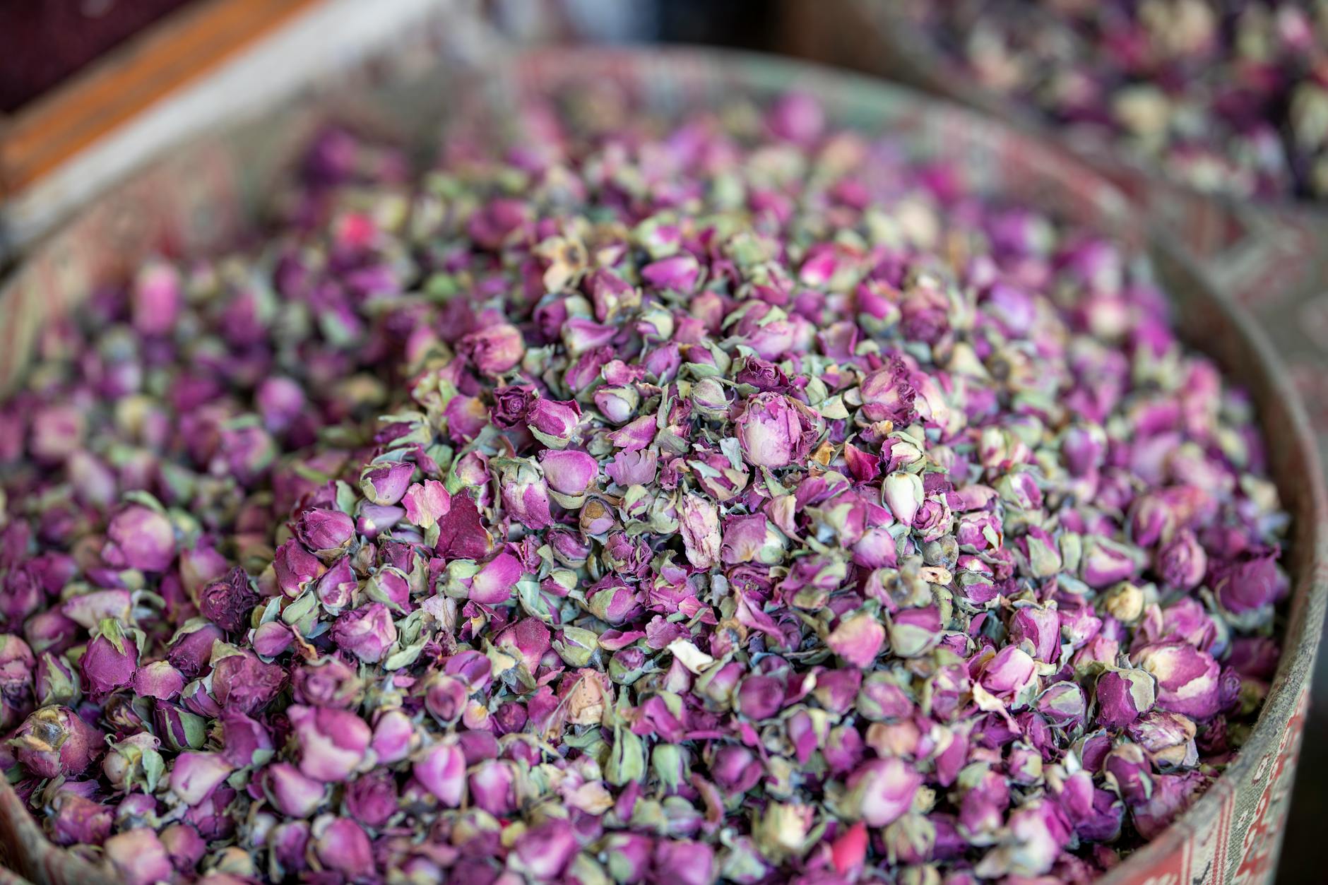 Fleurs Aux Pétales Violets