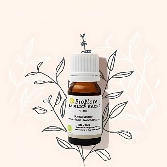 huile-essentielle-de-basilic-sacre-tulsi-bio-10ml