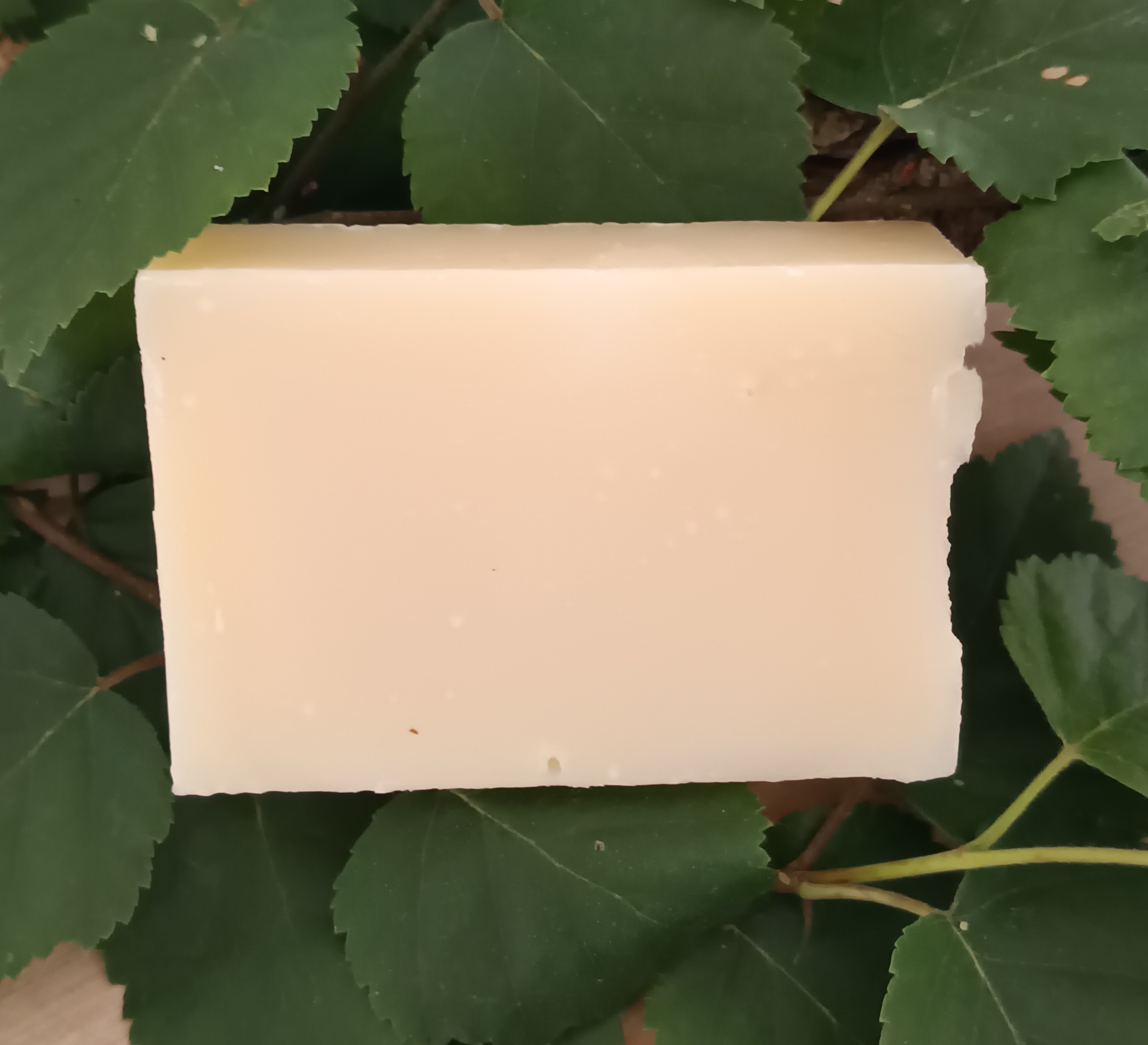 SAF007-04 - Savon LEau de Bouleau