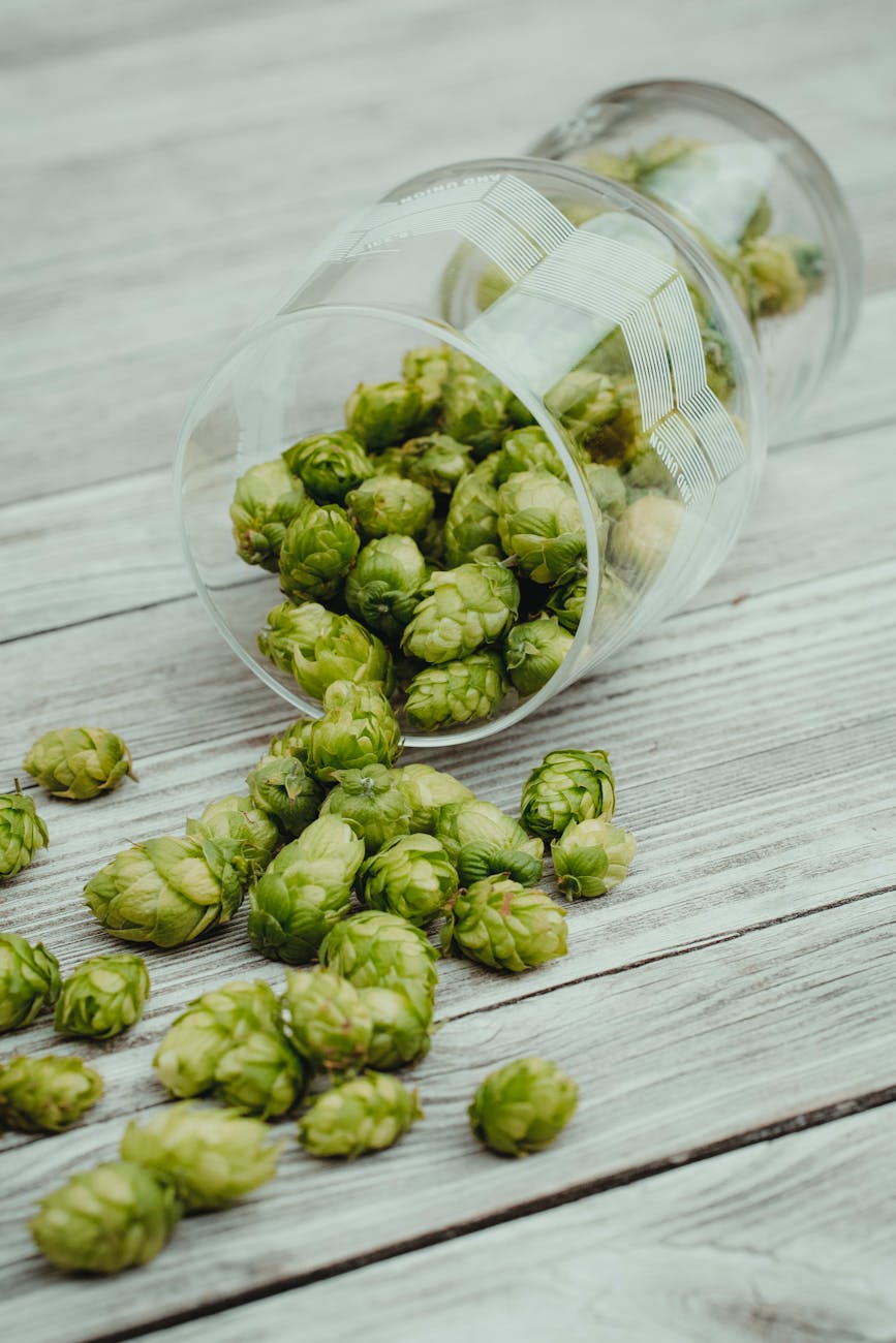 Houblons De Bière Dans Un Verre Sur Une Surface En Bois