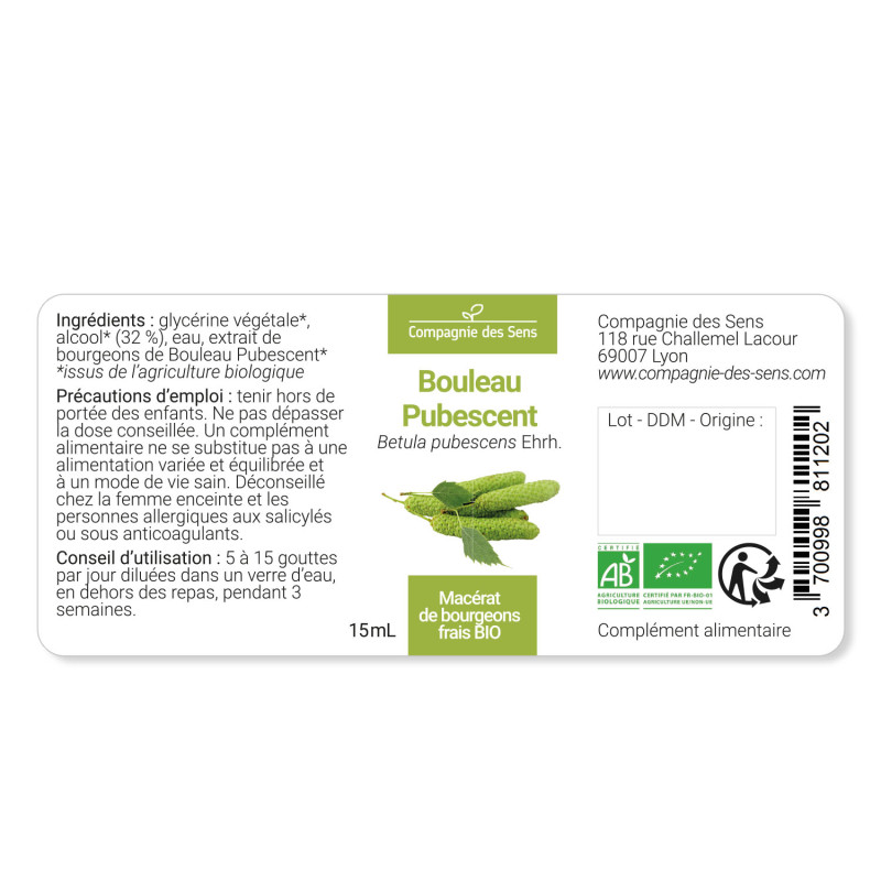 bouleau-pubescent-macerat-de-bourgeons-bio (4)