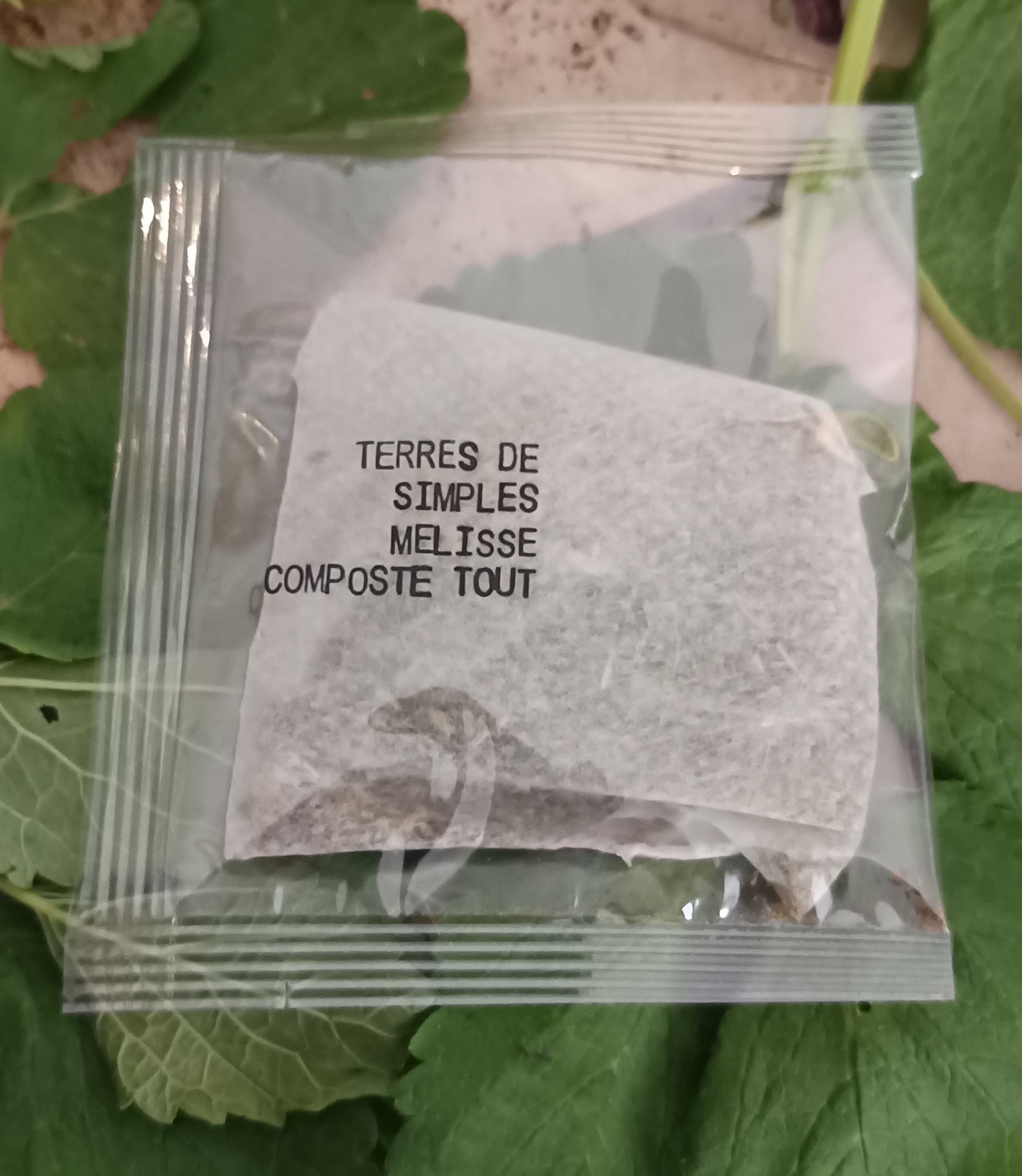 INF12-02 - Tisane Mélisse Officinale en infusette
