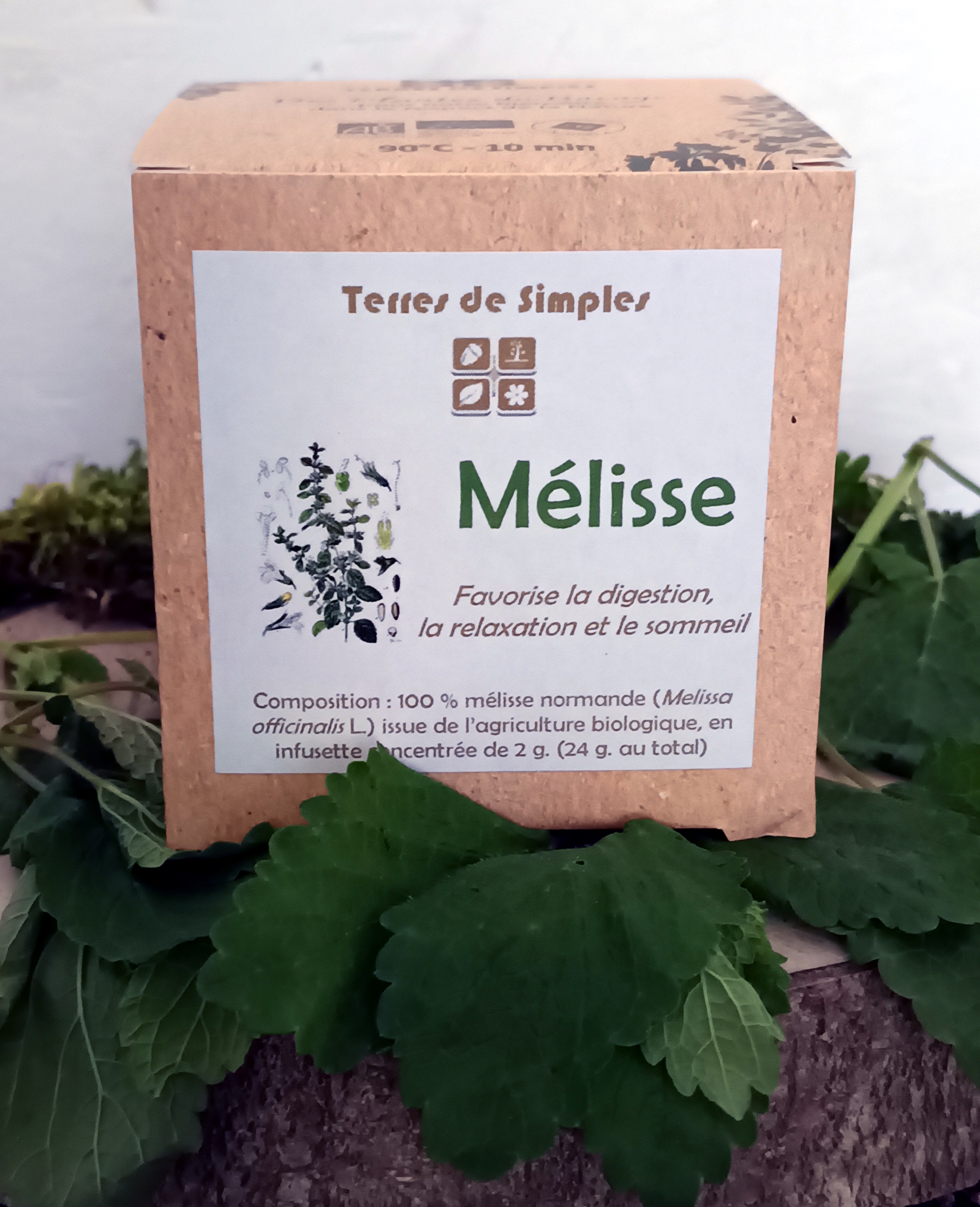 INF12 - Tisane Mélisse Officinale en infusette