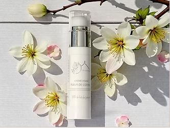 ART00000017-03 - Crème Fleur de Coton