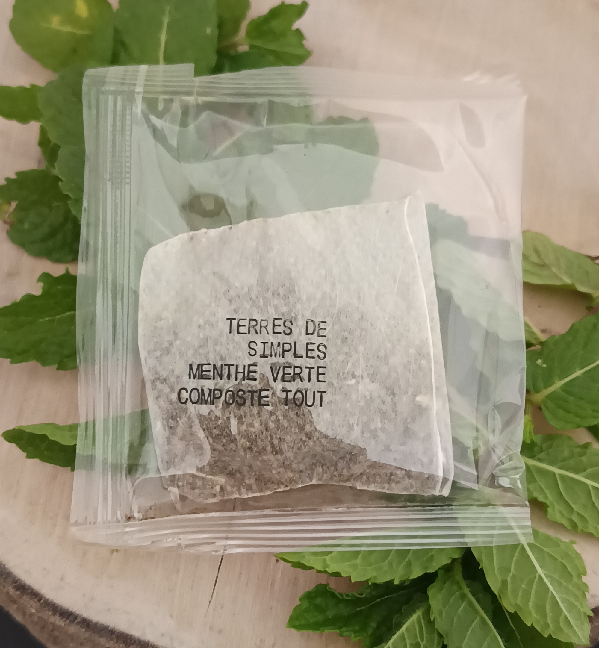 INF13-02 - Tisane Menthe verte en infusette