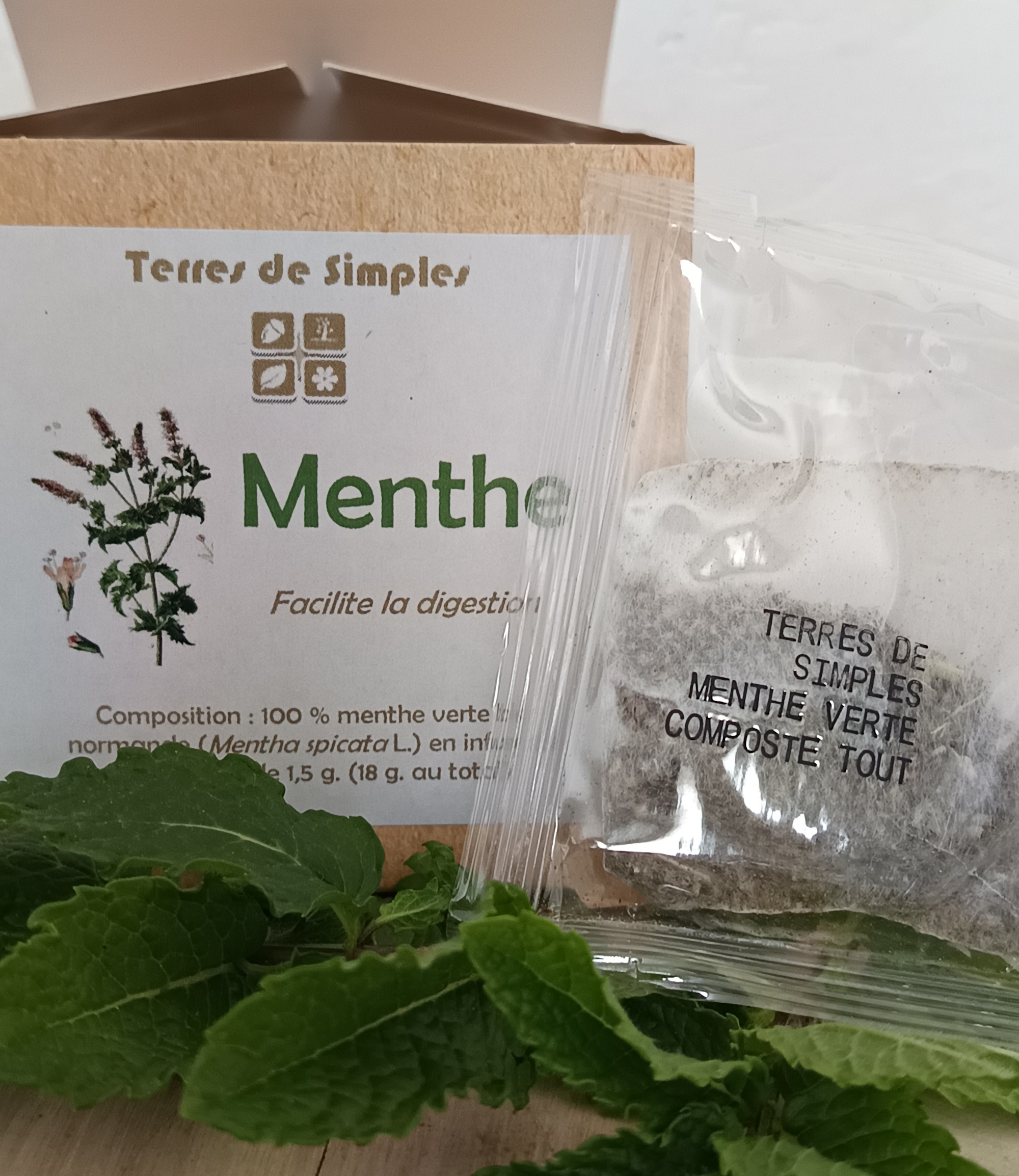 INF13-01 - Tisane Menthe verte en infusette