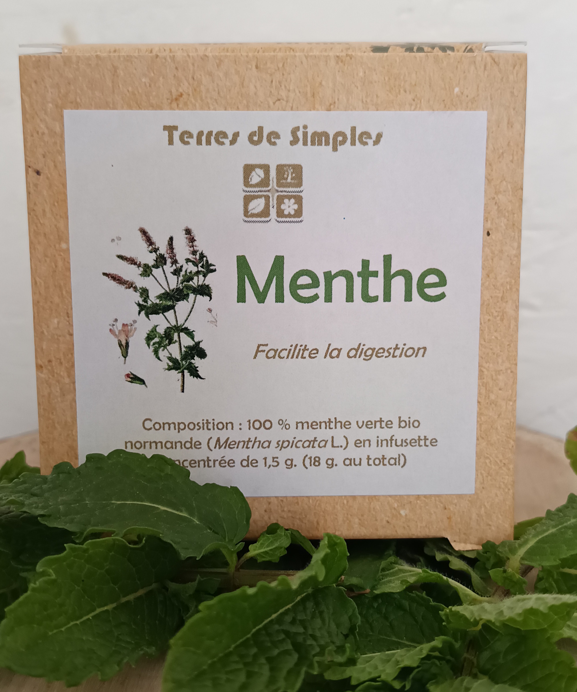 INF13 - Tisane Menthe verte en infusette