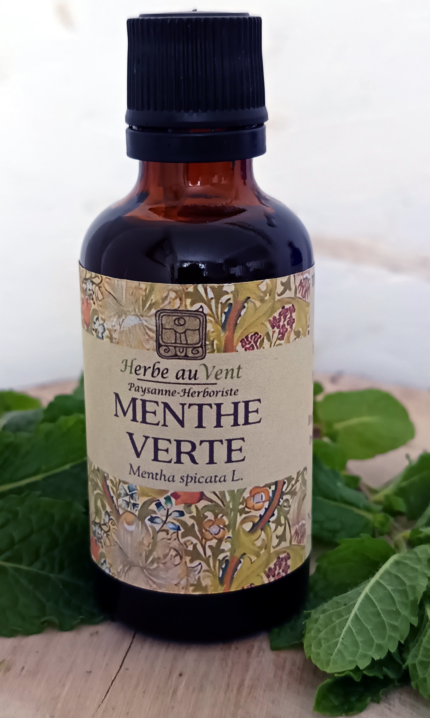 TMS46 - Teinture mère de Menthe Verte