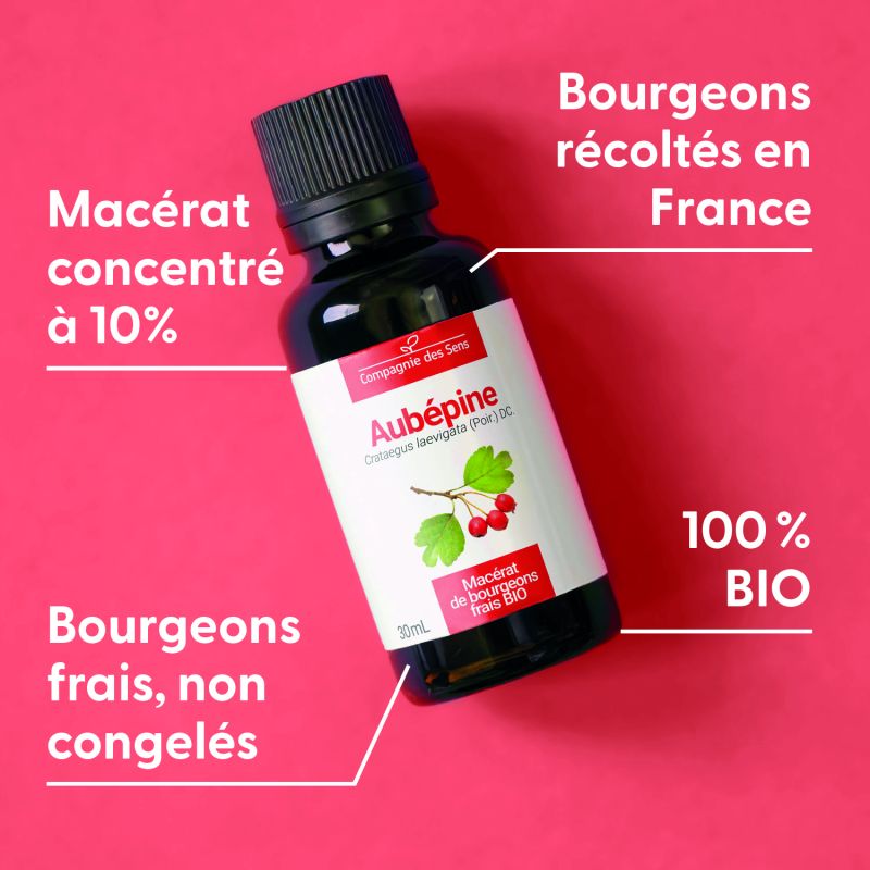 aubepine-macerat-de-bourgeons-bio (3)