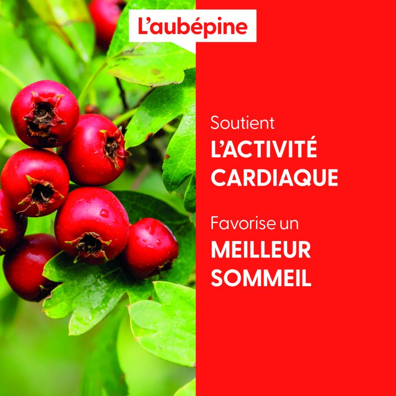 aubepine-macerat-de-bourgeons-bio (4)