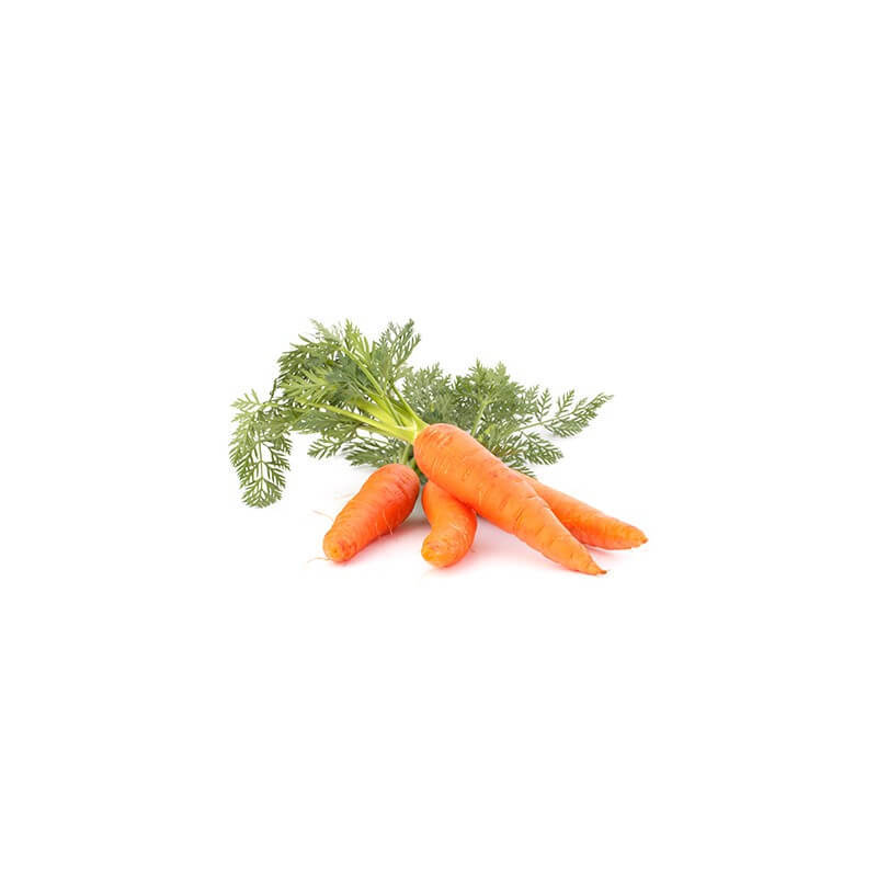 macerat-huileux-de-carotte-bio (1)