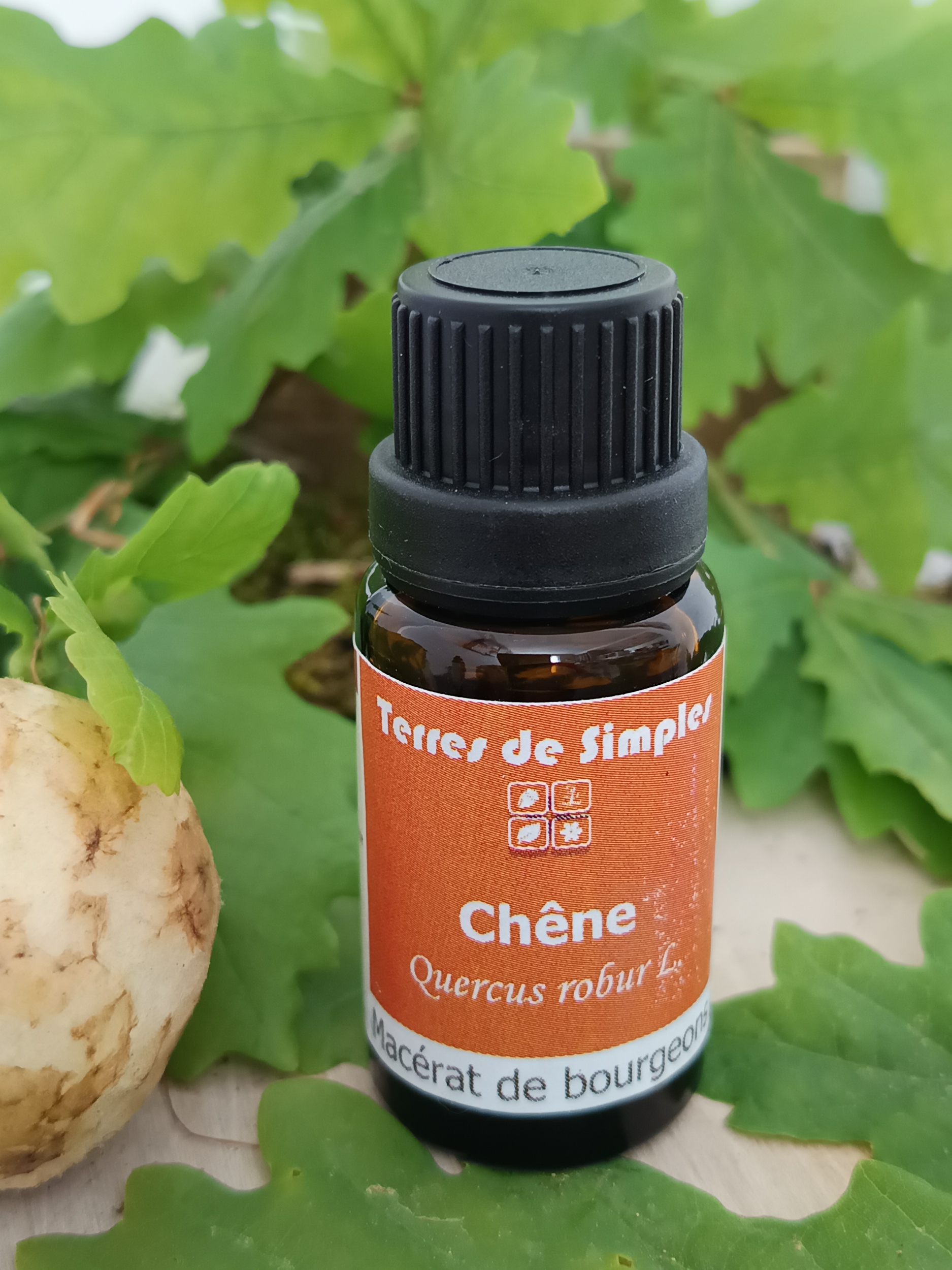 GEM39 - Gemmothérapie chêne 15 ml
