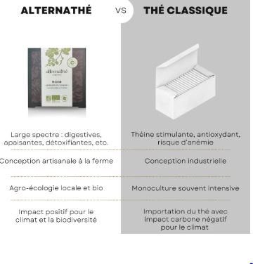 ALTN4-05 - Althernathé blanc en infusette