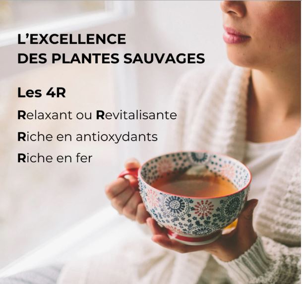 ALTN4-06 - Althernathé blanc en infusette