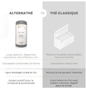 ALTN13-02 - Alternathé blanc en tube