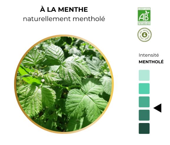ALTN12-01 - Alternathé Menthe en tube