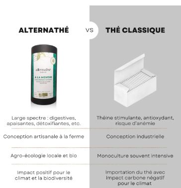 ALTN12-05 - Alternathé Menthe en tube