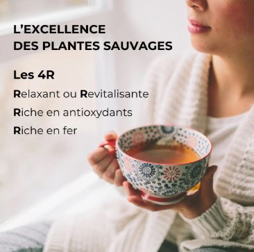 ALTN3-06 - Alternathé Menthe en dosette