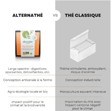 ALTN8-03 - Alternathé aux Agrumes en dosette