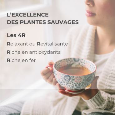 ALTN8-05 - Alternathé aux Agrumes en dosette
