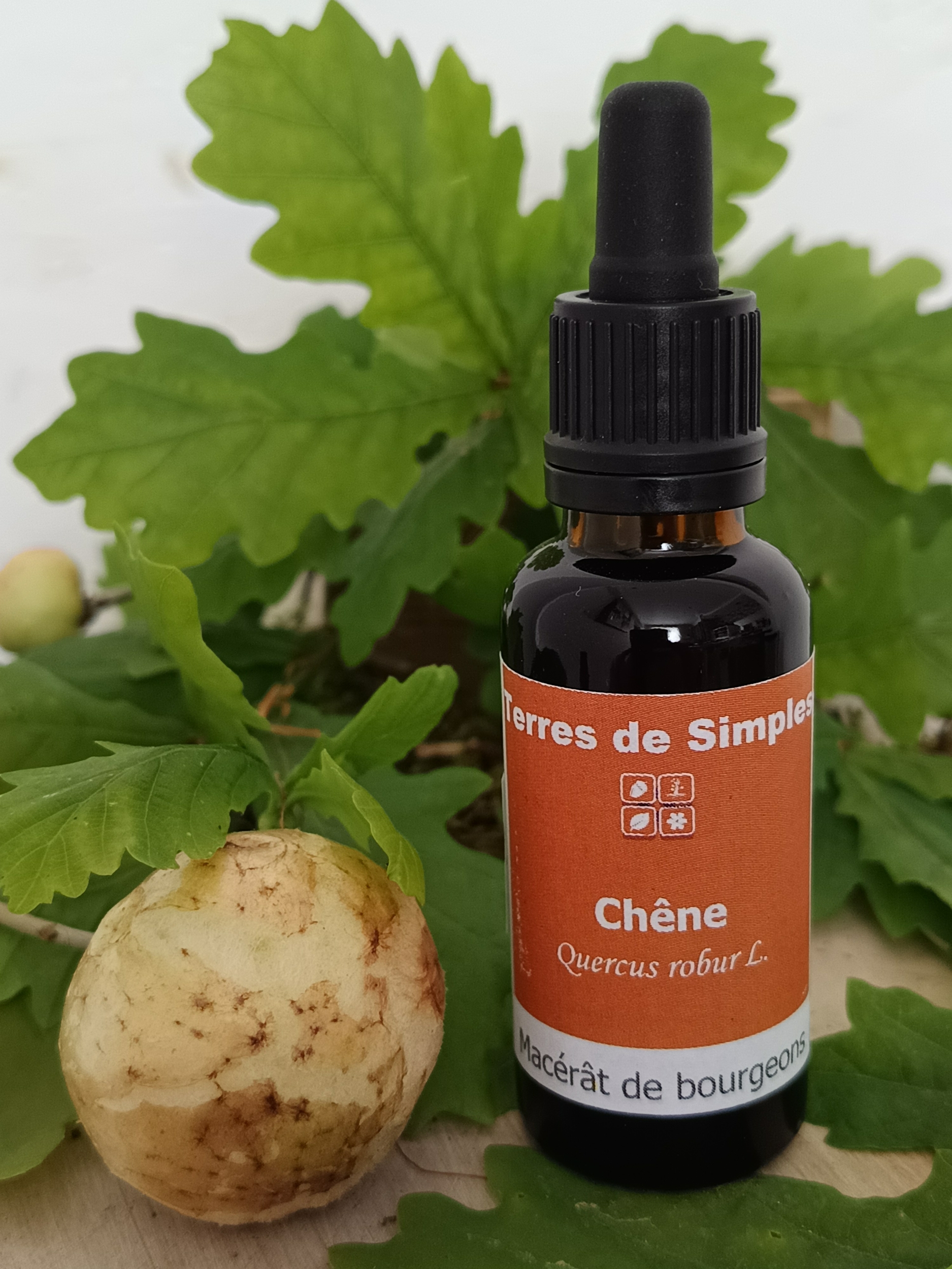 GEM69 - Gemmothérapie chêne 30 ml