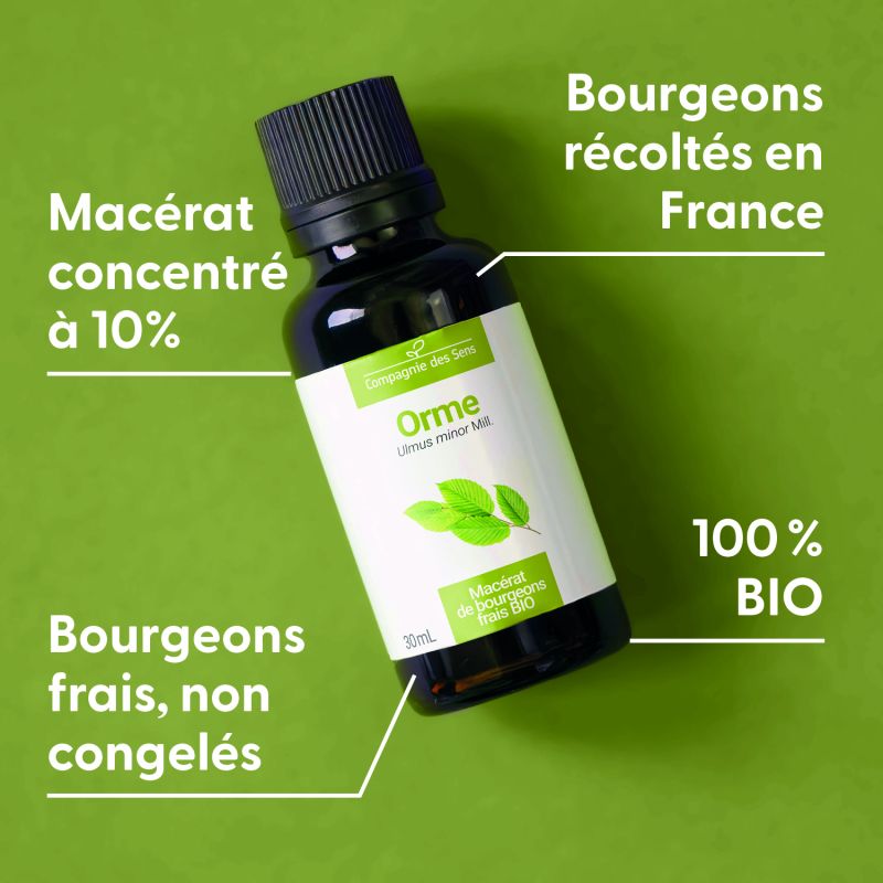 orme-macerat-de-bourgeons-bio (1)