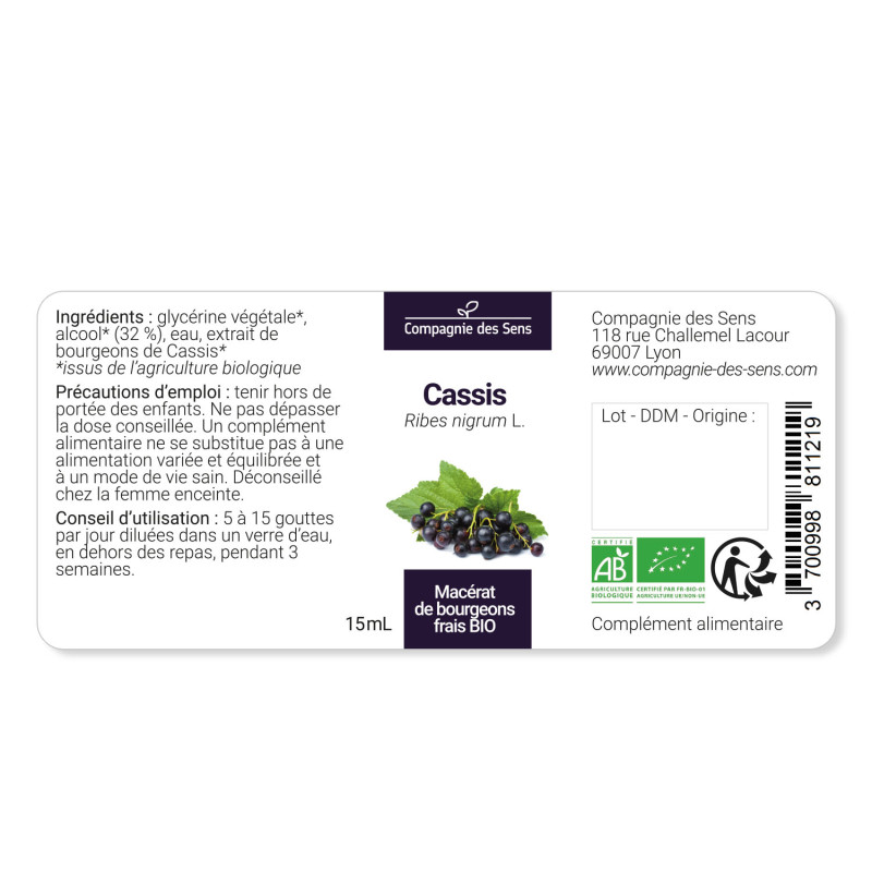 cassis-macerat-de-bourgeons-bio (3)