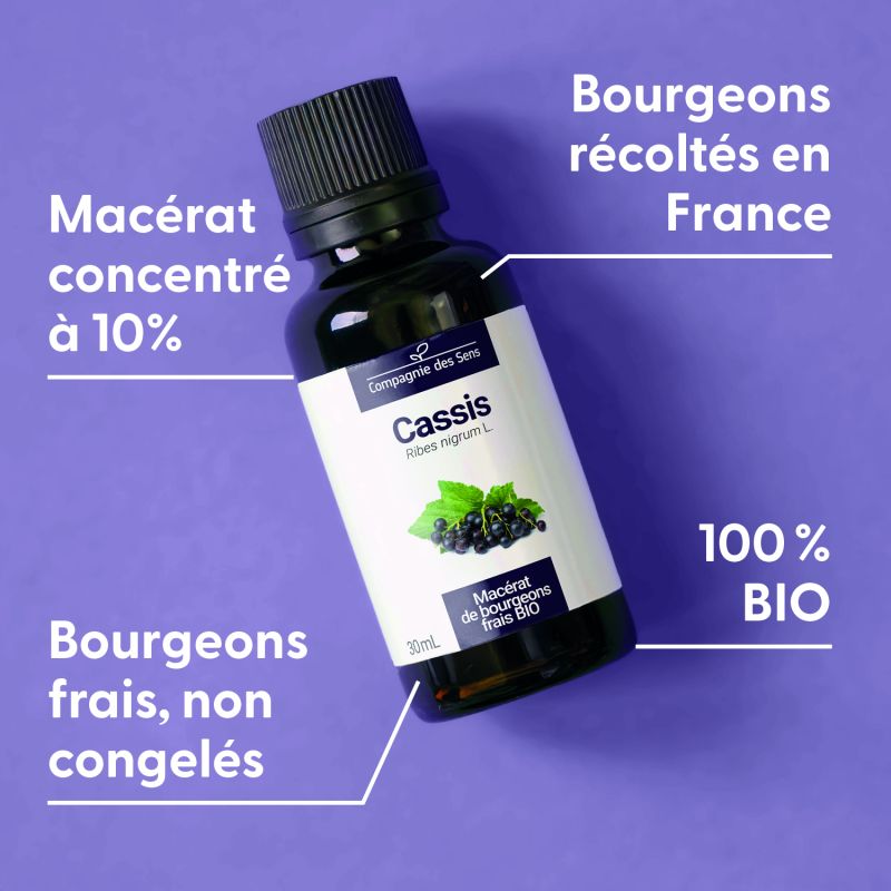 cassis-macerat-de-bourgeons-bio (5)