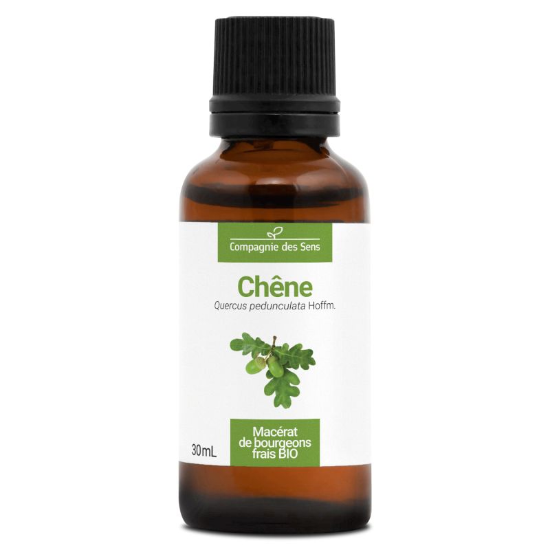 chene-macerat-de-bourgeons-bio