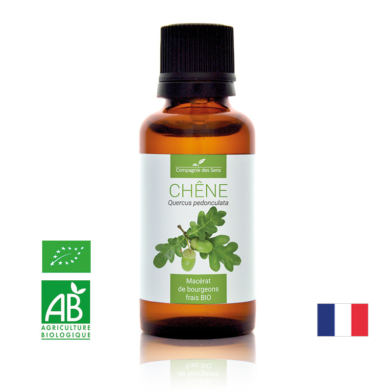 chene-macerat-de-bourgeons-bio (5)